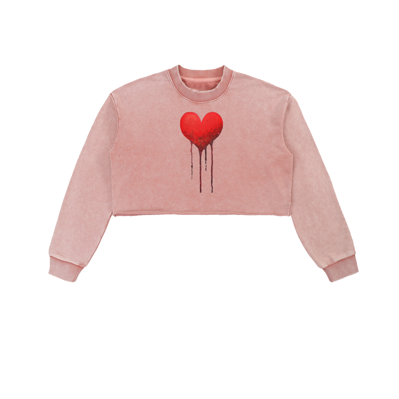 Snow Washed Raw Edge Cropped Sweatshirt